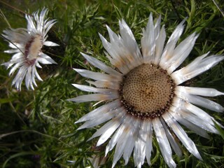 Holiday apartment Dipperz Outdoor Recording 23