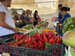 Holiday house Monaco Mirante Environment 30