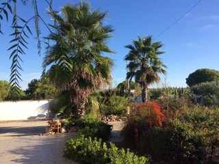 Vakantiehuis Monaco Mirante Buitenaudio-opname 5