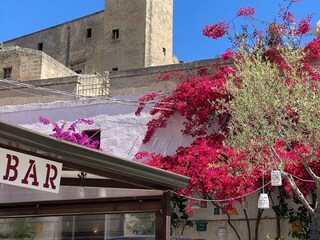 Holiday house Monaco Mirante Environment 37