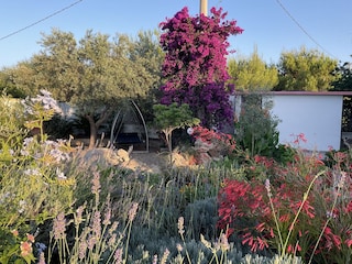 Schattenecke und Außenbad