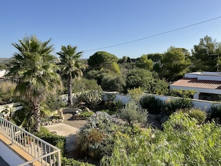 Garten von oben