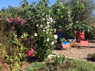 Schattenplätzchen im Garten