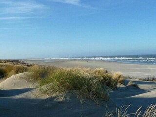 Appartamento per vacanze Borkum Ambiente 11