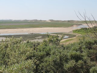 Casa per le vacanze Cadzand-Bad Ambiente 17