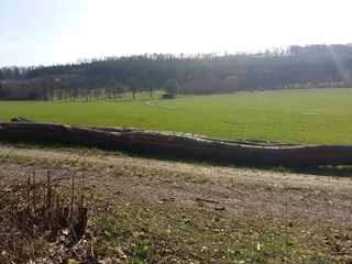 Apartamento Horn-Bad Meinberg Entorno 25