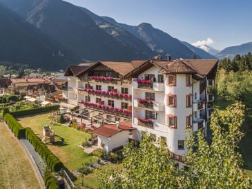 Holiday apartment In the Aparthotel Panorama
