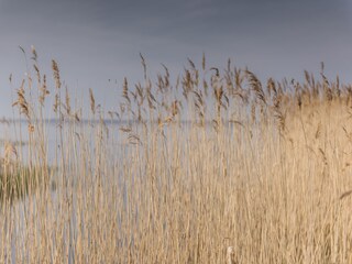 Am Achterwasser in Loddin