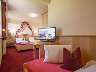 Apartamento de vacaciones Mayrhofen Características 22