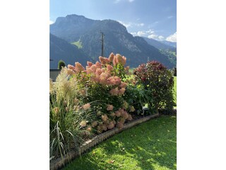 Apartamento de vacaciones Mayrhofen Grabación al aire libre 19