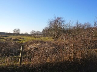 Casa per le vacanze Renesse Ambiente 20