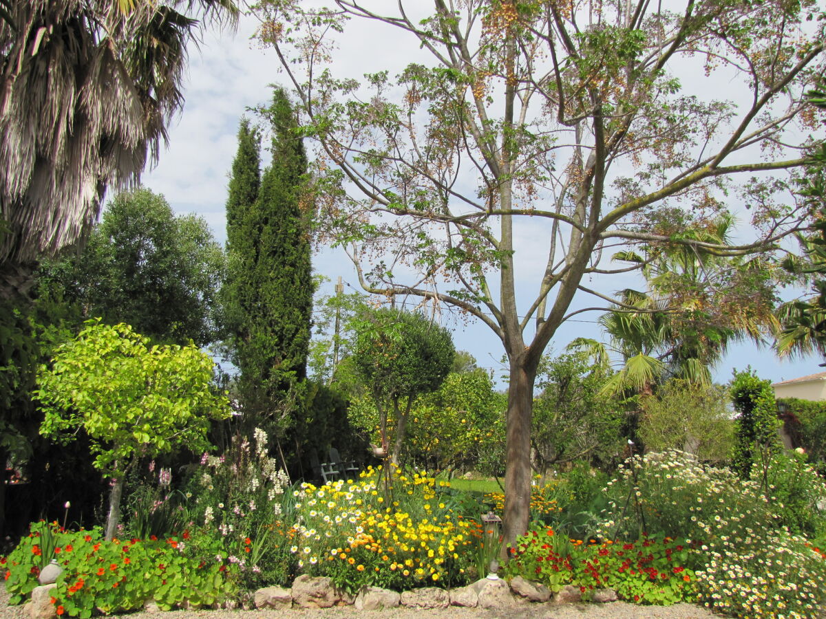 Blick in den Garten