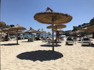 Casa per le vacanze Porto Cristo Ambiente 19