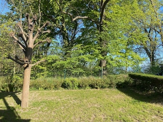Blick von der Terrasse in den Garten