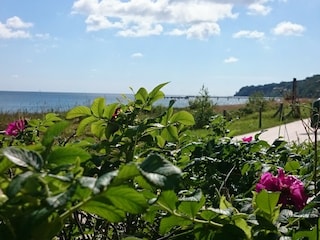 Fuss-Radweg Nordstrand nach Baabe