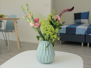 Appartamento Schoorl  40