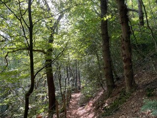 Appartamento Schoorl Ambiente 31