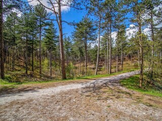 Appartamento Schoorl Ambiente 38