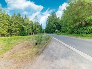 Type de propriété : Chalet Büllingen Environnement 34