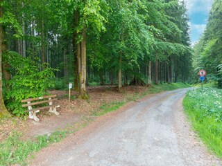 Vakantiehuisje Büllingen Omgeving 37