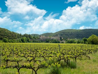 Casa per le vacanze Montclus Ambiente 30