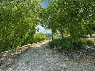 Maison de vacances Montclus Environnement 39