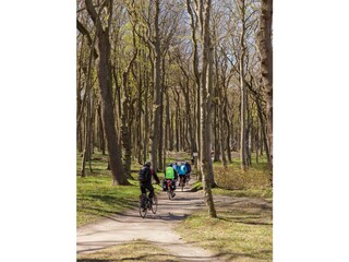 Gespernsterwald im April