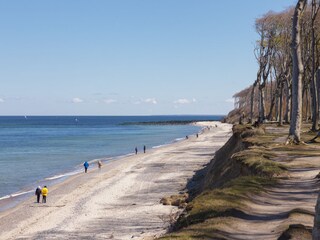 Strand am Gespensterwald im April