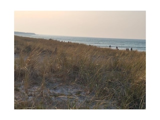 Dünen am Strand