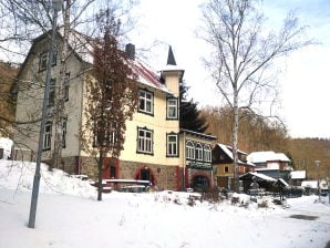 Ferienwohnung Pension Wildstein - Treseburg - image1