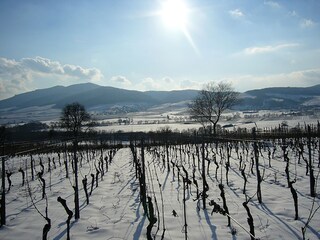 Appartamento per vacanze Epfig Ambiente 25