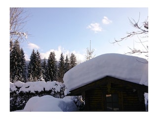 Garten mit Hütte im Winter