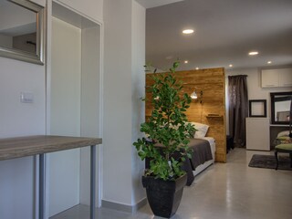 Villa Ližnjan Caratteristiche 19