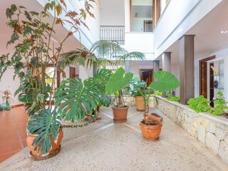 Villa Mancor de la Vall Kenmerken 30