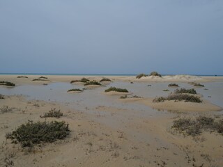 Casa de vacaciones Conil de la Frontera Entorno 26