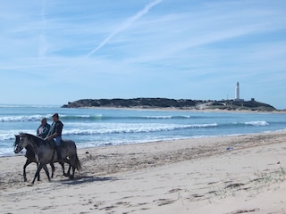 Reiten am Strand