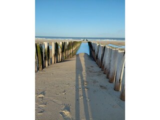 Holiday house Domburg Environment 19