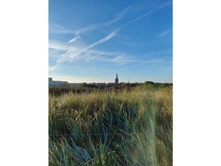 Holiday house Domburg Environment 20