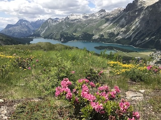 Blick Richtung Silsersee von der Furtschellas aus