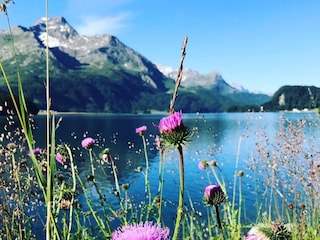 Silsersee bei Sils