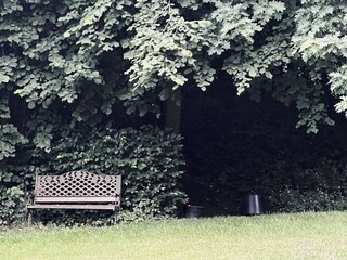 Apartamento de vacaciones Lichtenau (Sachsen) Grabación al aire libre 14