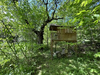 Apartamento de vacaciones Lichtenau (Sachsen) Grabación al aire libre 17