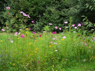 Appartamento per vacanze Lichtenau (Sachsen) Registrazione all'aperto 16