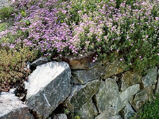 Appartamento per vacanze Lichtenau (Sachsen) Registrazione all'aperto 15