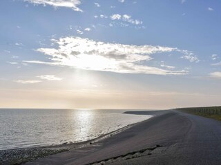 Fattoria Oosterend Ambiente 28