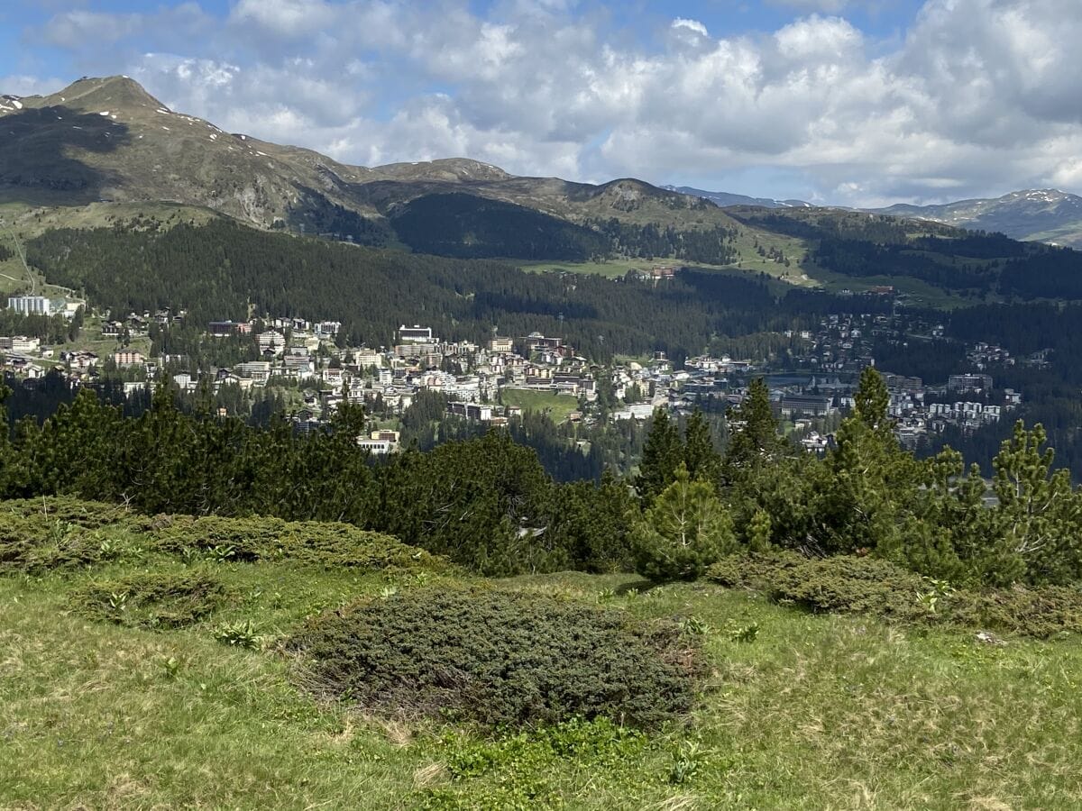 Blick auf Arosa