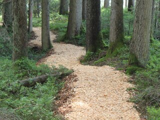 Vakantieappartement Missen-Wilhams Omgeving 20