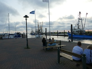 Entspannt am Hafen den Blick genießen