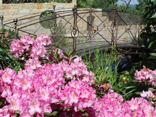 Appartamento Ostrau (Bad Schandau) Registrazione all'aperto 10