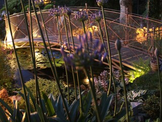 Appartamento Ostrau (Bad Schandau) Registrazione all'aperto 17